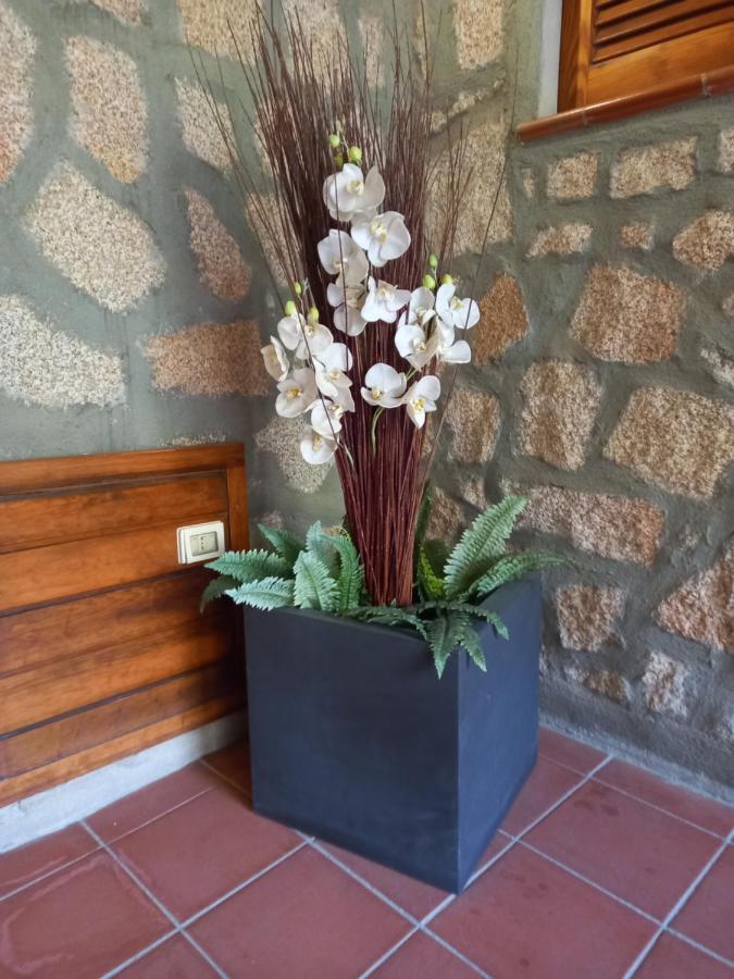 באיה סרדיניה Hotel Olimpia מראה חיצוני תמונה